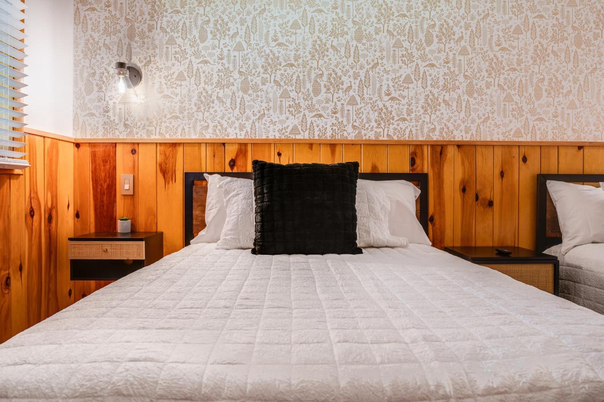 Seneca Pines Lodge Seneca Rocks エクステリア 写真