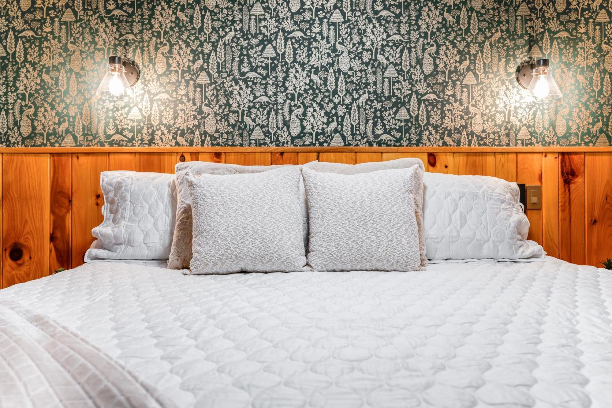 Seneca Pines Lodge Seneca Rocks エクステリア 写真