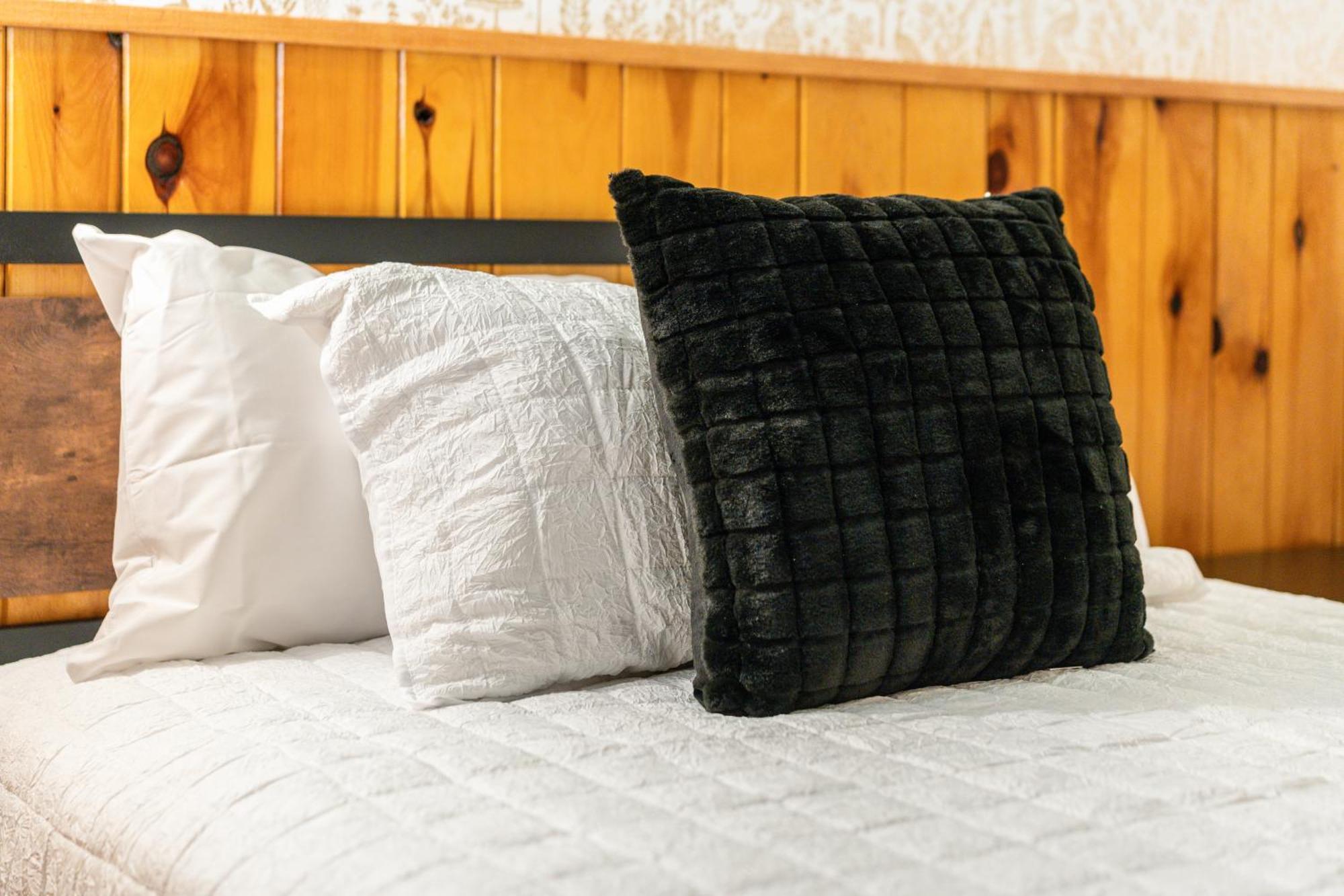Seneca Pines Lodge Seneca Rocks エクステリア 写真