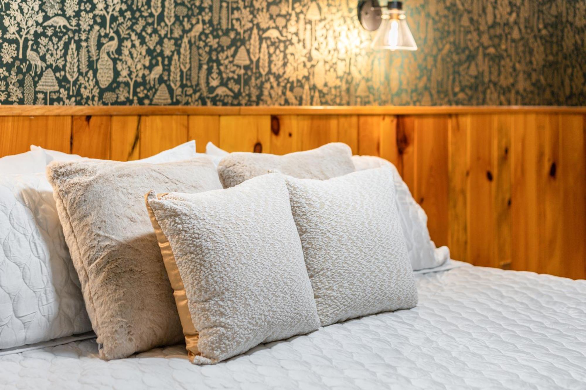 Seneca Pines Lodge Seneca Rocks エクステリア 写真